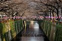 08 Tokyo, meguro rivier